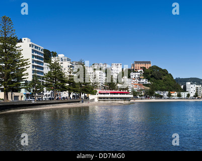 dh Oriental Bay WELLINGTON NEW ZEALAND Bay Waterfront Häuser Wohnungen Strand nz Stockfoto