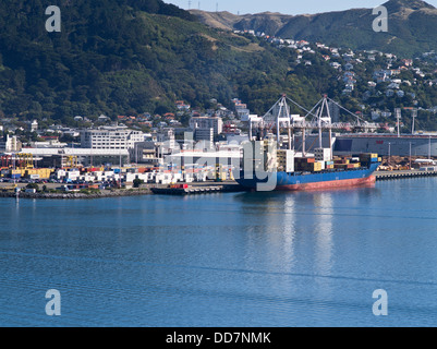 dh Wellington Harbour WELLINGTON Neuseeland Schiff Hafen Containerkrane dock-Container Stockfoto