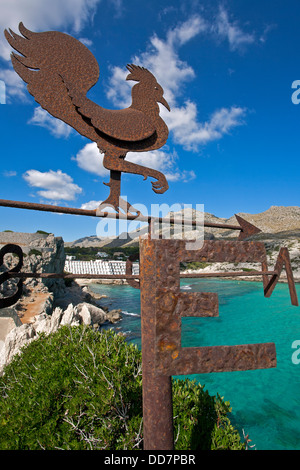 Wetterhahn. Cala Sant Vicenç. Insel Mallorca. Spanien Stockfoto