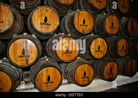 Port-Weine und ihre Macher unter Terrakottadächer angrenzend an den Douro Fluss Sandeman Vintage Weinkeller, Porto, Porto, Portugal Stockfoto