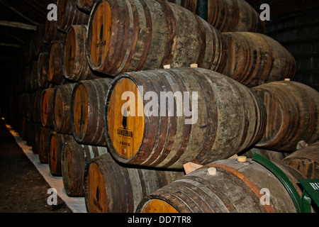 Port-Weine und ihre Macher unter Terrakottadächer angrenzend an den Douro Fluss Sandeman Vintage Weinkeller, Porto, Porto, Portugal Stockfoto