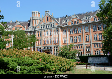 Hotel de Ville, Lille, Nord, Frankreich Stockfoto