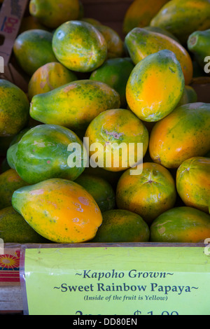 Farmers Market, Hilo, Big Island von Hawaii Stockfoto