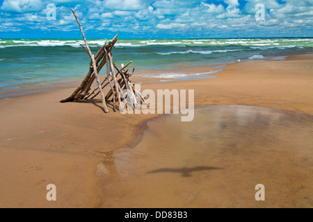 Fichtenwald Provincial Park Lake Huron Grand Bend Ontario Kanada Stockfoto