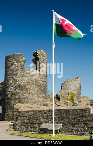 Großbritannien, Wales, Ceredigion, Aberystwyth, Welsh national Flagge von Burg Fahnenmast Stockfoto