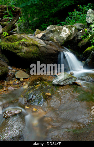 Lower Dark Hollow Falls, Shenandoah-Nationalpark, Virginia, USA Stockfoto