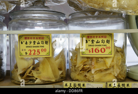 Getrocknete Haifischflossen zu verkaufen in Chinatown, New York.  Verwendet, um die Haifischflossen-Suppe, eine Delikatesse für besondere Anlässe. Stockfoto