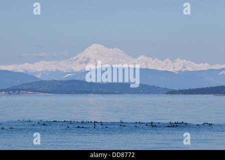 USA, Washington, San Juan Inseln. Mount Baker von den San Juan Islands gesehen. Stockfoto