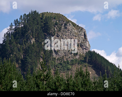 dh Pohaturoa WAIKATO Neuseeland hohe Rhyolith Lavadom vulkanische Stecker crag Stockfoto