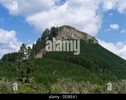 dh Pohaturoa WAIKATO Neuseeland hohe Rhyolith Lavadom vulkanische Stecker crag Stockfoto