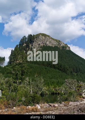 dh Pohaturoa WAIKATO Neuseeland Waikato River hohe Rhyolith Lavadom vulkanische Stecker crag Stockfoto