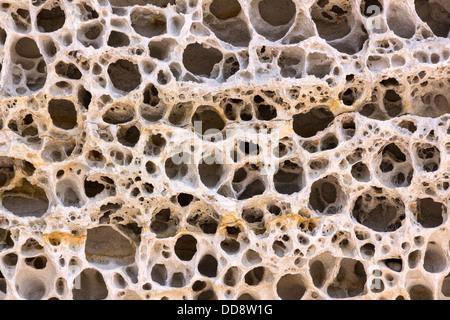 Honeycomb verwitterten Sandsteinfelsen auf Klippen, Elgol Strand, Isle of Skye, Schottland, Großbritannien Stockfoto
