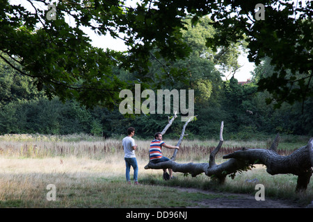 Freunde sitzen im Chat auf eine alte gefallenen Baumstamm auf Hampstead Heath, London, UK. Stockfoto