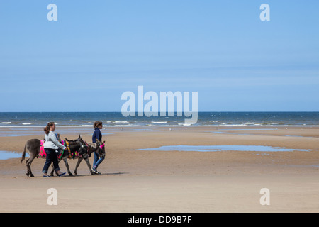 England, Lancashire, Blackpool, Esel reiten Stockfoto