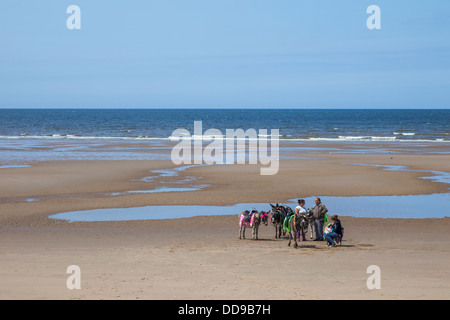 England, Lancashire, Blackpool, Esel reiten Stockfoto