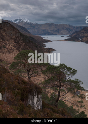 Der Blick auf die abgelegenen Bergregionen Ladhar Bheinn auf der Halbinsel Knoydart, Loch Hourn unten, Schottisches Hochland-UK Stockfoto