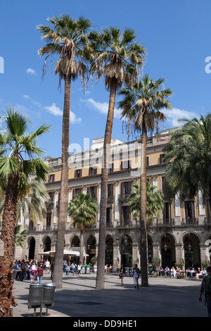 Palmen im Placa Reial aus La Rambla Barcelona Stockfoto