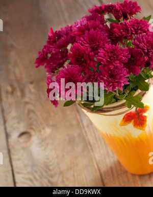 Aster Blumen Stockfoto