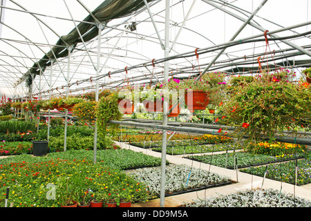 Plantage-Haus mit bunten Blumen in Zypern. Stockfoto