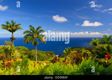 Meerblick aus dem Garten Eden, Maui, Hawaii Stockfoto