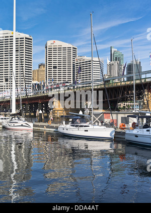 dh Darling Harbour SYDNEY Australien Marina Segelboot Yachten Stadt Wolkenkratzer Monorail Zug Hafen Stockfoto
