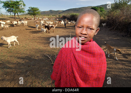 Ziegen und Rinder sind wichtige Vieh für die Massai. Stockfoto