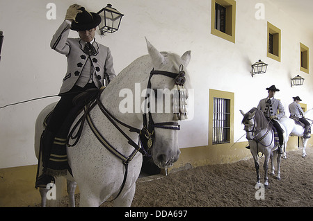 Reiter auf dem Pferd an der Royal andalusischen Schule der Reitkunst. Stockfoto