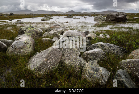 Flacher See und nassen Felsen am Valdresflye plateau Nationalpark Jotunheimen Norwegen Stockfoto