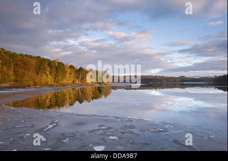 Malerische winter Blick über eisige Oberfläche der Swinsty Behälter wo Wald Bäume & dramatische Himmel im Wasser reflektiert werden - North Yorkshire, England, UK. Stockfoto