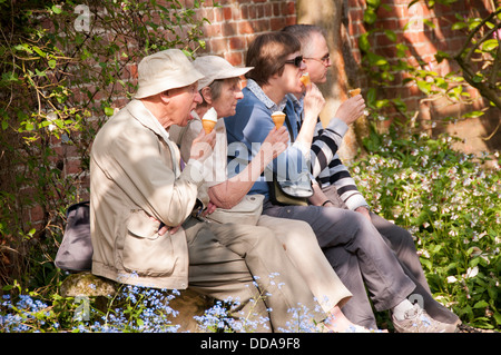 Close-up 2 Paare oder 4 Erwachsene sitzen im Sommer Sonne auf der Werkbank im wunderschönen Garten, alle Holding & essen Eis - North Yorkshire, England, UK. Stockfoto