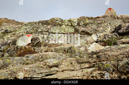 Red T s auf strategische Felsen markieren Sie die Route auf viele norwegische Bergwege Besseggen Grat gehen Jotunheimen Norwegen Stockfoto