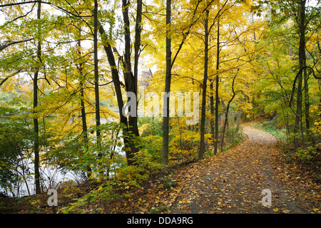 Ein schattiger Wanderweg an einem See im Herbst im Park, Sharon Woods, südwestlichen Ohio, USA Stockfoto