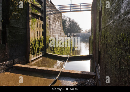 Blick von durchlässigen Boden Schleusenkammer durch offene Tore zu Canal - Fünf Aufstieg Schlösser für Renovierungsarbeiten geschlossen, Leeds Liverpool Canal, Bingley, England, Großbritannien Stockfoto