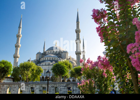 Die blaue Moschee (Sultanahmet Camii), Istanbul, Türkei Stockfoto