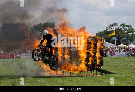 Bucks County Show, Weedon, The Royal Signale Motorrad Stunt Display Team der weißen Helmen in der Hauptarena durchführen Stockfoto