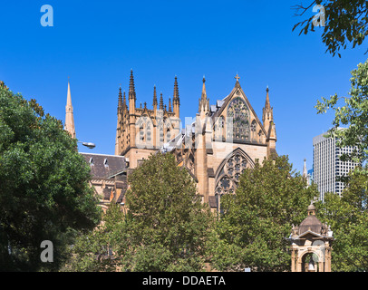 dh SYDNEY Australien St Marys Kathedrale Stockfoto