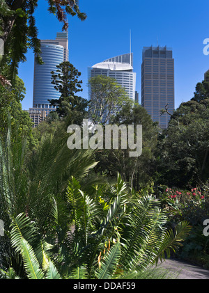 dh Royal Botanic Gardens SYDNEY Australien tropischen Park Central Business District Skyline Stadtgebäude Stockfoto
