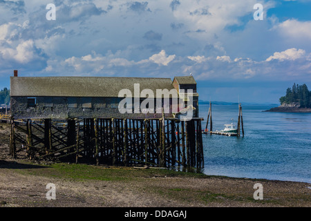 Eine alte verwitterte Holz Schindeln doppelseitige Fischverarbeitung Gebäude auf Stelzen an der Küste bei Lubec Maine. Stockfoto