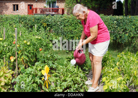 Aktive ältere Frau, die Bewässerung der Pflanzen in ihrem Garten Stockfoto