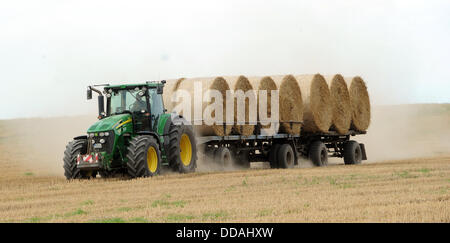 Ein Bauer sammelt Strohballen aus einem Feld in Linum, Deutschland, 27. August 2013. Foto: Bernd Settnik Stockfoto