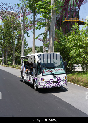 Dh Supertree Grove Gardens by the Bay SINGAPUR Supertrees vertikalen Garten skyway Gehweg Shuttle bus Service Touristen Stockfoto