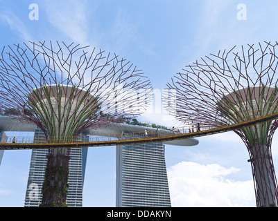 Dh Supertree Grove Gardens by the Bay SINGAPUR Menschen Supertrees vertikalen Garten skyway Gehweg Marina Sands Bay Hotel Stockfoto