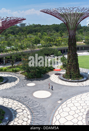 dh Supertree Grove GÄRTEN AN DER BUCHT SINGAPUR Supertrees vertikale Gärten Menschen gehen Garten Stockfoto