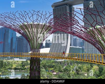 dh Supertree Grove GARDENS BY THE BAY SINGAPORE Supertrees vertikaler Garten Menschen, die auf dem Skyway-Gehweg spazieren Stockfoto