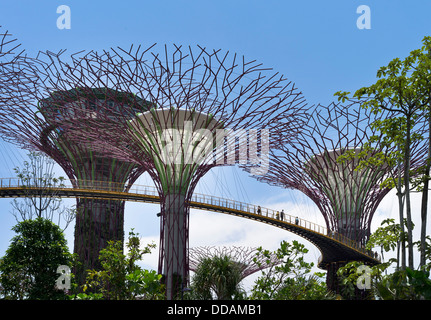 Dh Supertree Grove Gehweg GÄRTEN DURCH DIE BUCHT SINGAPUR Supertrees vertikale Gärten Menschen zu Fuß Skyway erhöhten Bäume Garten Stockfoto