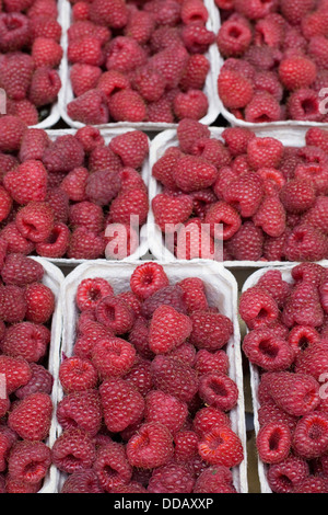 rote Himbeeren in Containern zum Verkauf Rubus idaeus Stockfoto