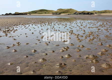 Wattwurm wirft Newborough Strand nähert sich Llanddwyn Insel Anglesey Stockfoto