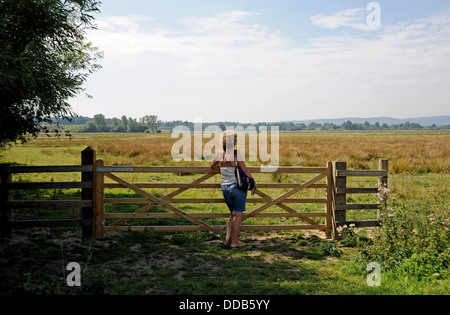 Frau, stützte sich auf Tor betrachten über Pulbourough Brooks RSPB Natur Reserve West Sussex UK Stockfoto