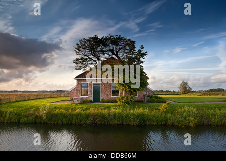 charmantes Bauernhaus und Baum Fluss über blauen Himmel Stockfoto