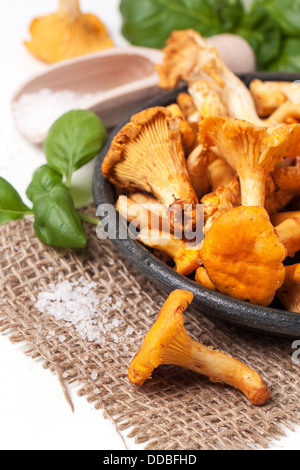 Teller mit Champignons Pfifferlinge mit Salz und Basilikum auf Entlassung Tuch über weiß Stockfoto